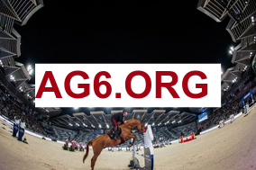 美记：老鹰拒绝在戴维斯交易中送出里萨谢和2026鹈鹕首轮